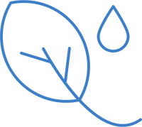 ikona